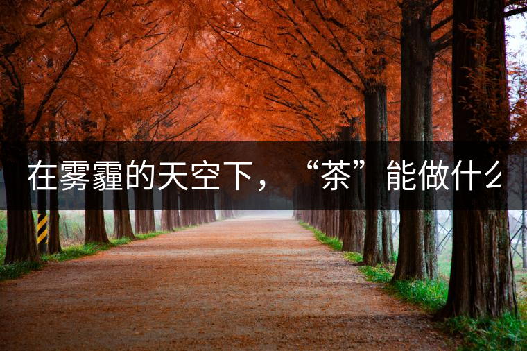在霧霾的天空下，“茶”能做什么？