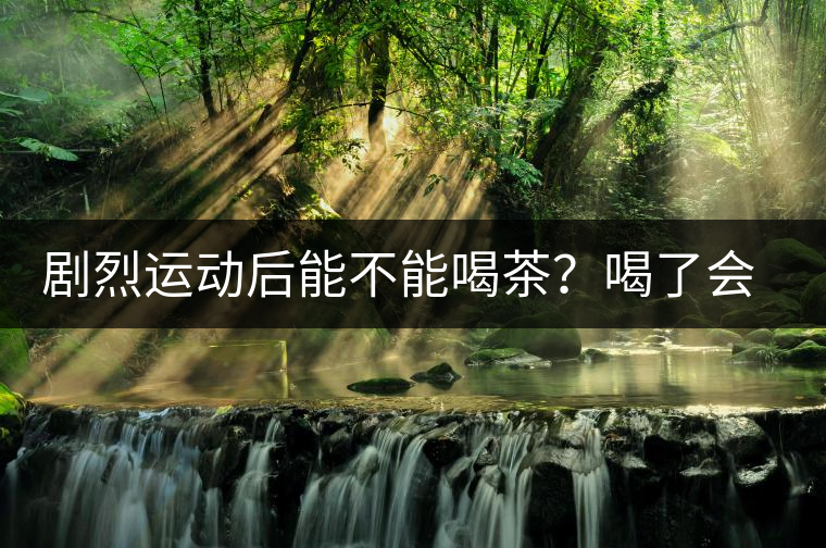 劇烈運動后能不能喝茶？喝了會有什么不適？