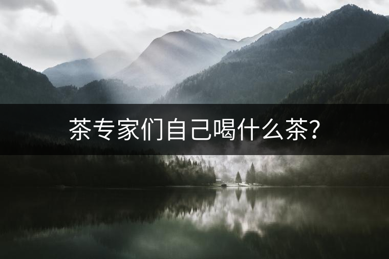 茶專家們自己喝什么茶？