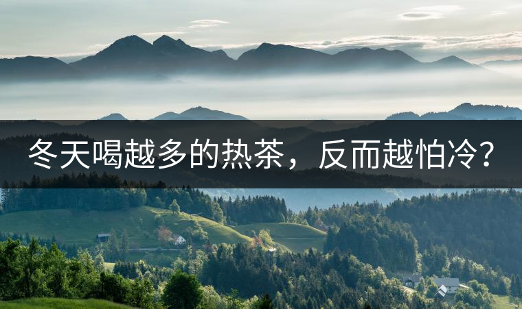 冬天喝越多的熱茶，反而越怕冷？