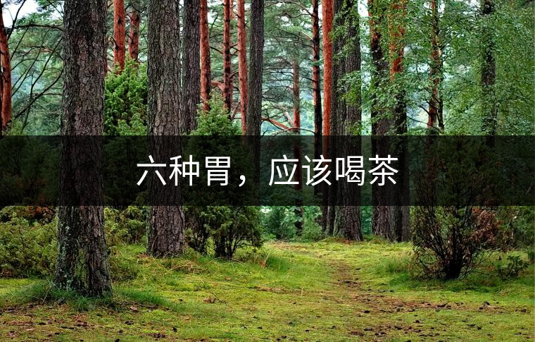 六種胃，應(yīng)該喝茶