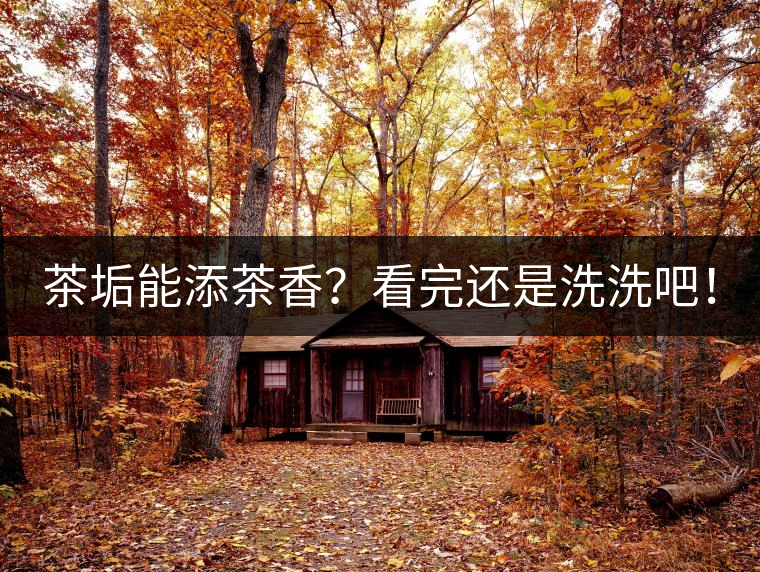 茶垢能添茶香？看完還是洗洗吧！