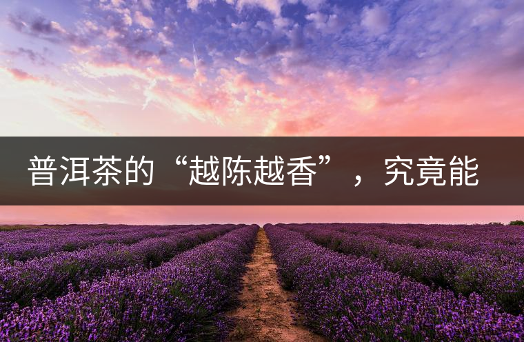 普洱茶的“越陳越香”，究竟能“陳”多久