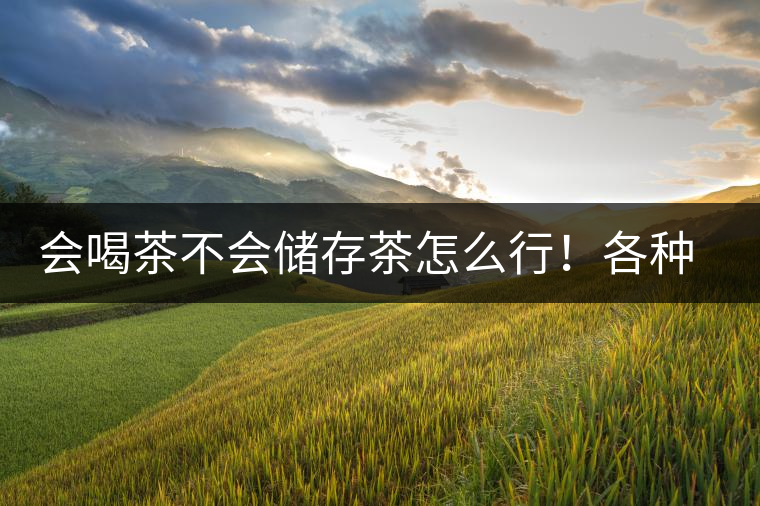 會喝茶不會儲存茶怎么行！各種存茶方法與技巧，把茶香留住