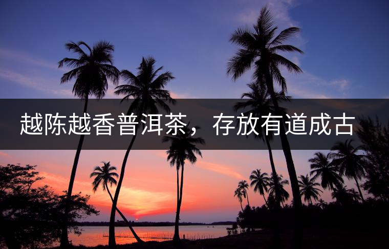 越陳越香普洱茶，存放有道成古董