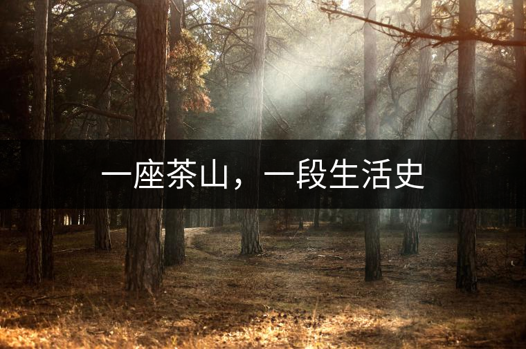 一座茶山，一段生活史