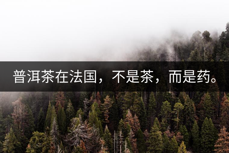 普洱茶在法國，不是茶，而是藥。