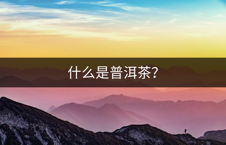 什么是普洱茶？