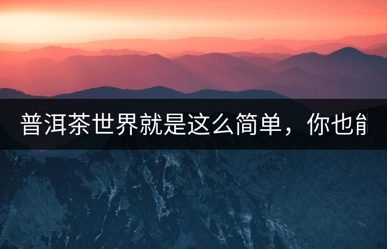 普洱茶世界就是這么簡單，你也能懂！