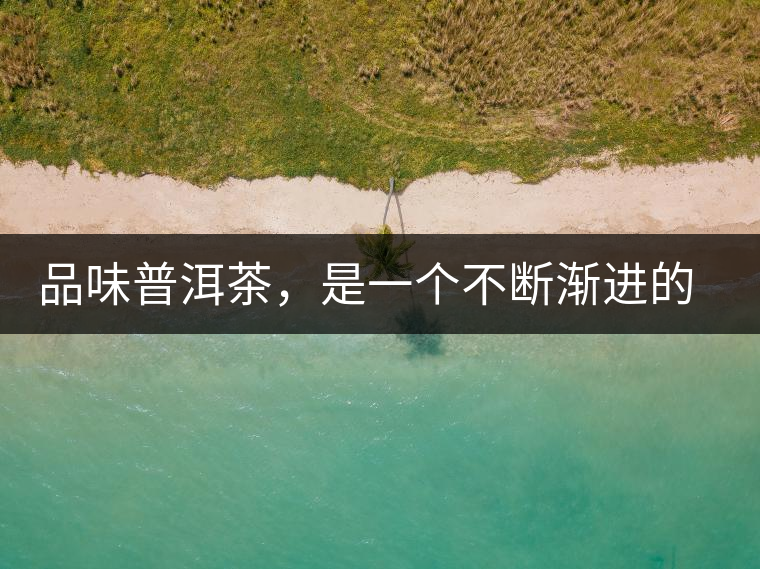 品味普洱茶，是一個(gè)不斷漸進(jìn)的過程