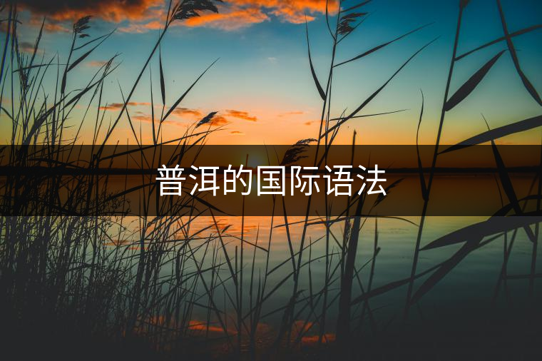 普洱的國(guó)際語法 普洱的國(guó)際語法