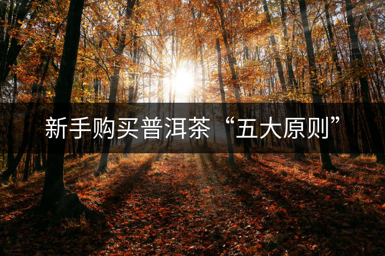 新手購買普洱茶“五大原則” 新手購買普洱茶“五大原則”