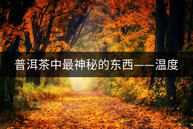 普洱茶中最神秘的東西——溫度 普洱茶中最神秘的東西——溫度