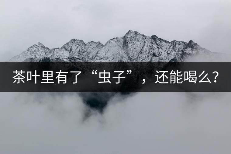 茶葉里有了“蟲子”，還能喝么？