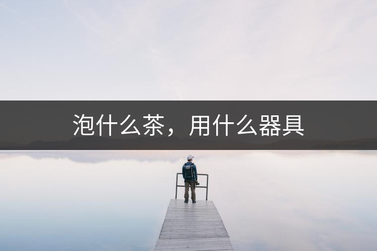 泡什么茶，用什么器具