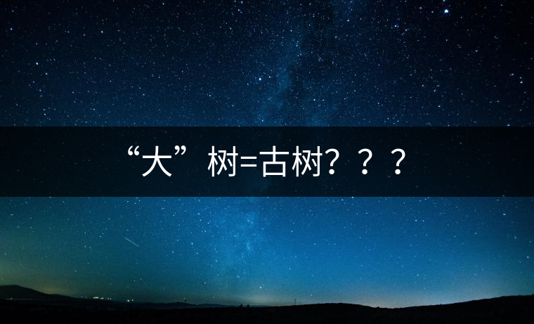 “大”樹=古樹？？？