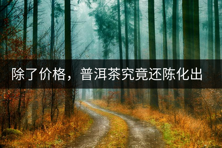 除了價格，普洱茶究竟還陳化出了啥？