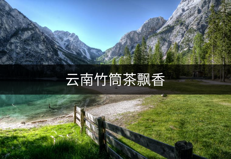 云南竹筒茶飄香 云南竹筒茶飄香