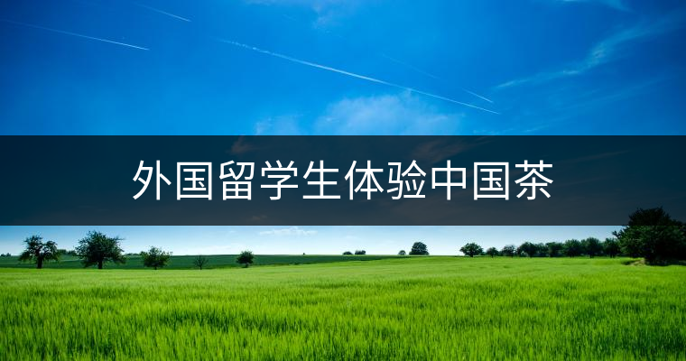 外國留學(xué)生體驗中國茶 外國留學(xué)生體驗中國茶