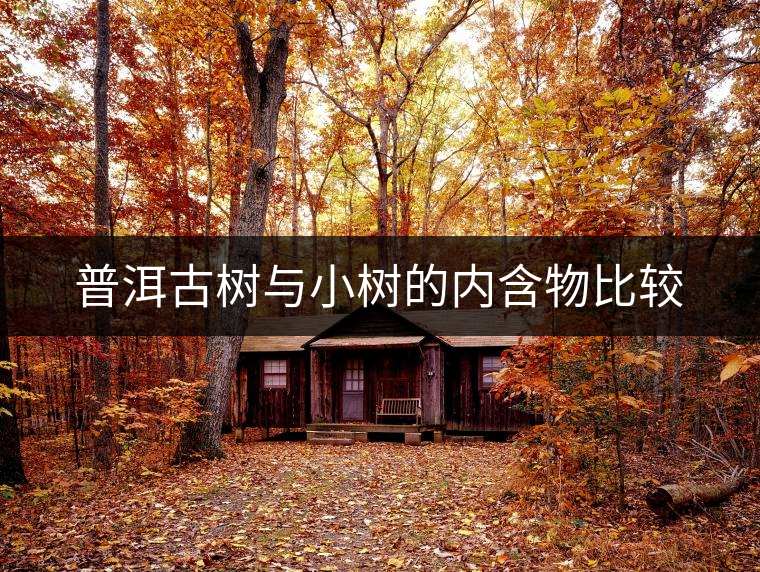 普洱古樹(shù)與小樹(shù)的內(nèi)含物比較 普洱古樹(shù)與小樹(shù)的內(nèi)含物比較