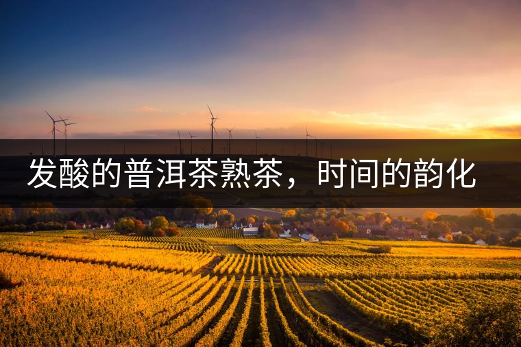 發(fā)酸的普洱茶熟茶，時間的韻化會讓它驚艷無比！