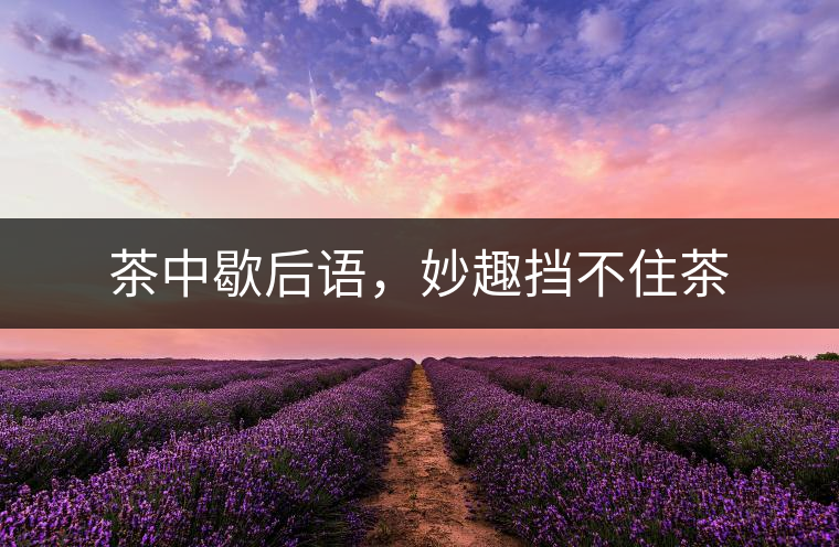 茶中歇后語(yǔ)，妙趣擋不住茶
