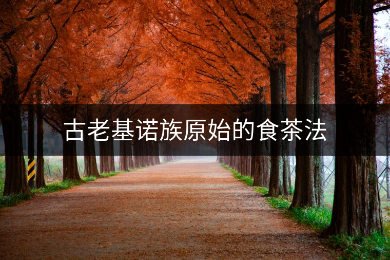古老基諾族原始的食茶法 古老基諾族原始的食茶法