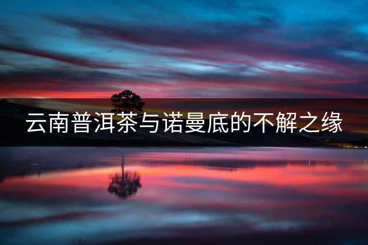 云南普洱茶與諾曼底的不解之緣 云南普洱茶與諾曼底的不解之緣