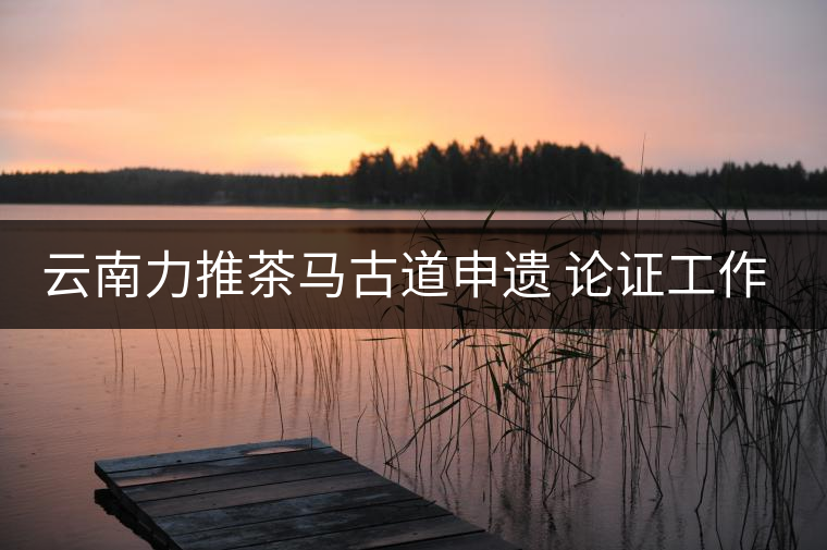 云南力推茶馬古道申遺 論證工作正在進(jìn)行 云南力推茶馬古道申遺 論證工作正在進(jìn)行