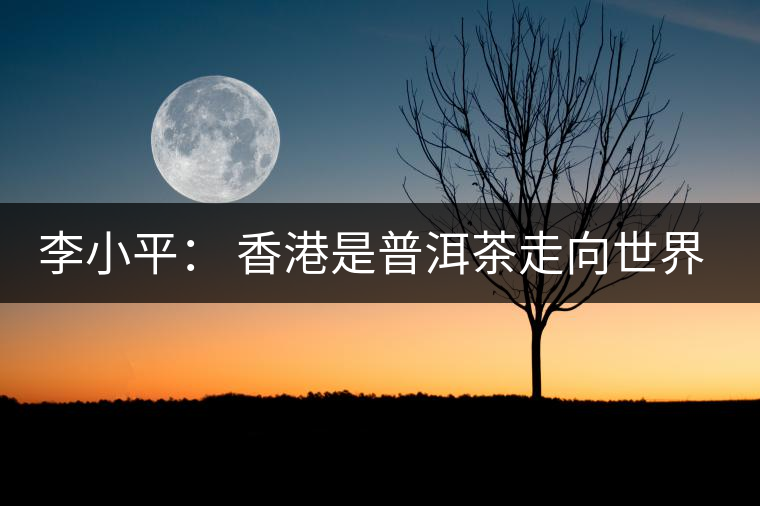 李小平: 香港是普洱茶走向世界的重要平臺 李小平: 香港是普洱茶走向世界的重要平臺