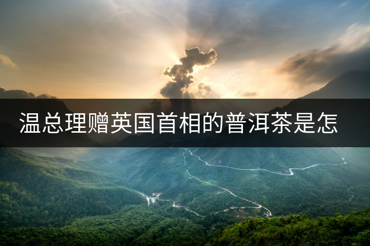 溫總理贈(zèng)英國首相的普洱茶是怎么制作的？