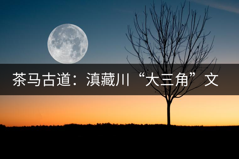 茶馬古道：滇藏川“大三角”文化的紐帶