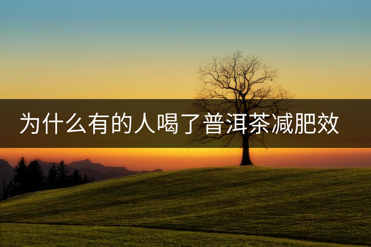 為什么有的人喝了普洱茶減肥效果不明顯呢？