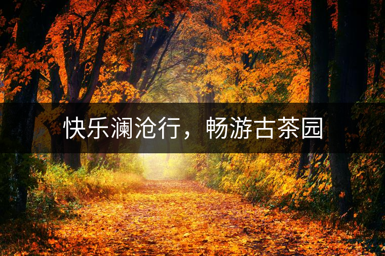 快樂(lè)瀾滄行，暢游古茶園