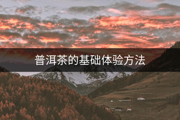 普洱茶的基礎(chǔ)體驗(yàn)方法 普洱茶的基礎(chǔ)體驗(yàn)方法