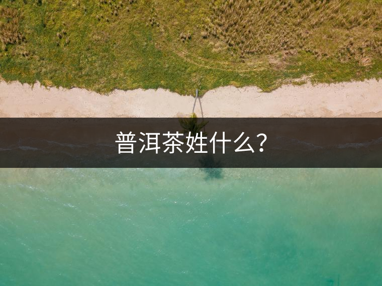 普洱茶姓什么？