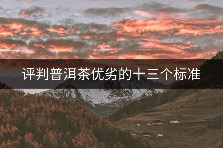 評判普洱茶優(yōu)劣的十三個(gè)標(biāo)準(zhǔn)