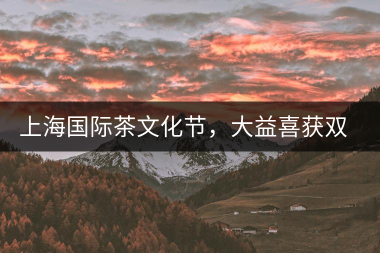上海國際茶文化節(jié)，大益喜獲雙獎(jiǎng)