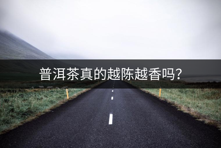 普洱茶真的越陳越香嗎？