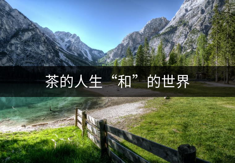 茶的人生“和”的世界 茶的人生“和”的世界