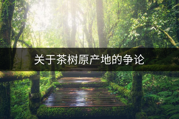 關(guān)于茶樹原產(chǎn)地的爭(zhēng)論 關(guān)于茶樹原產(chǎn)地的爭(zhēng)論