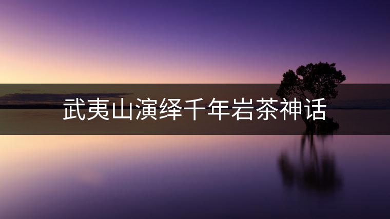武夷山演繹千年巖茶神話 武夷山演繹千年巖茶神話