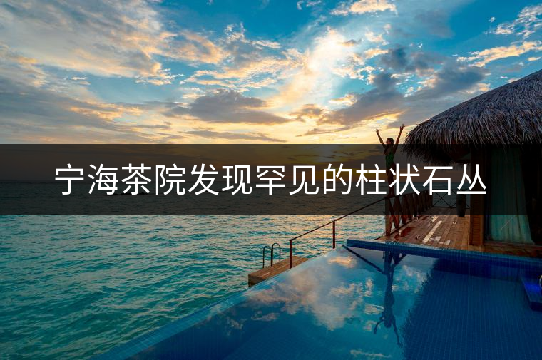 寧海茶院發(fā)現(xiàn)罕見的柱狀石叢 寧海茶院發(fā)現(xiàn)罕見的柱狀石叢