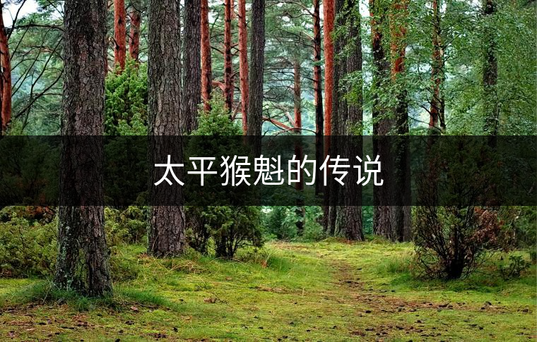 太平猴魁的傳說 太平猴魁的傳說