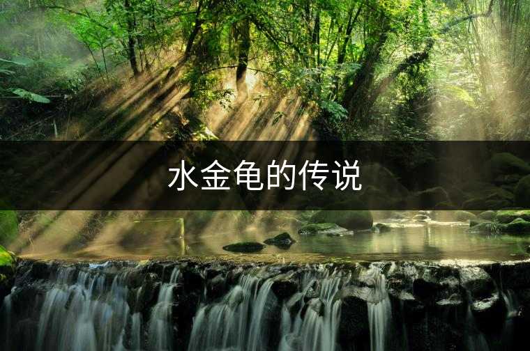 水金龜的傳說 水金龜的傳說
