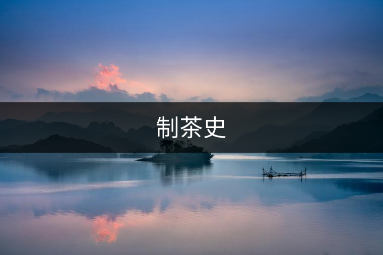 制茶史 制茶史