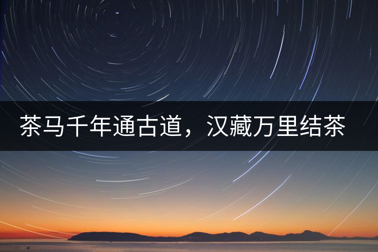 茶馬千年通古道，漢藏萬里結(jié)茶緣