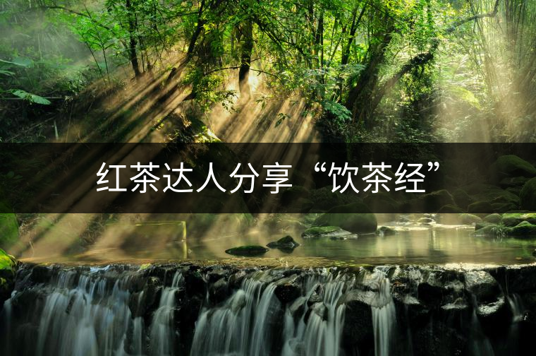 紅茶達(dá)人分享“飲茶經(jīng)” 紅茶達(dá)人分享“飲茶經(jīng)”