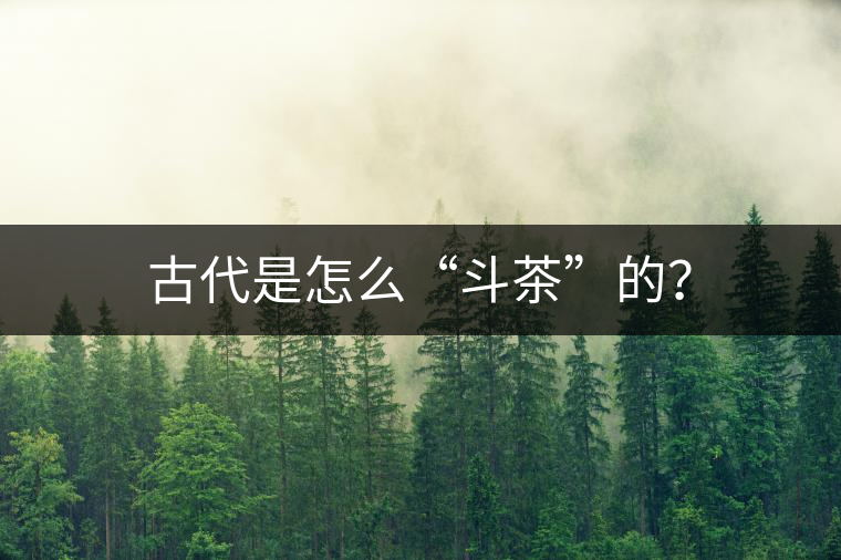 古代是怎么“斗茶”的？