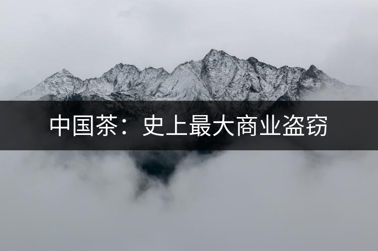 中國茶:史上最大商業(yè)盜竊 中國茶:史上最大商業(yè)盜竊
